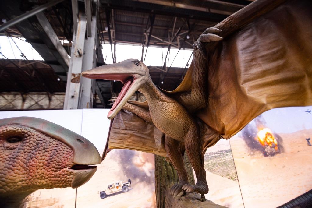 От тираннозавра до трицератопса: гид по выставке динозавров в Харькове фото 3 2