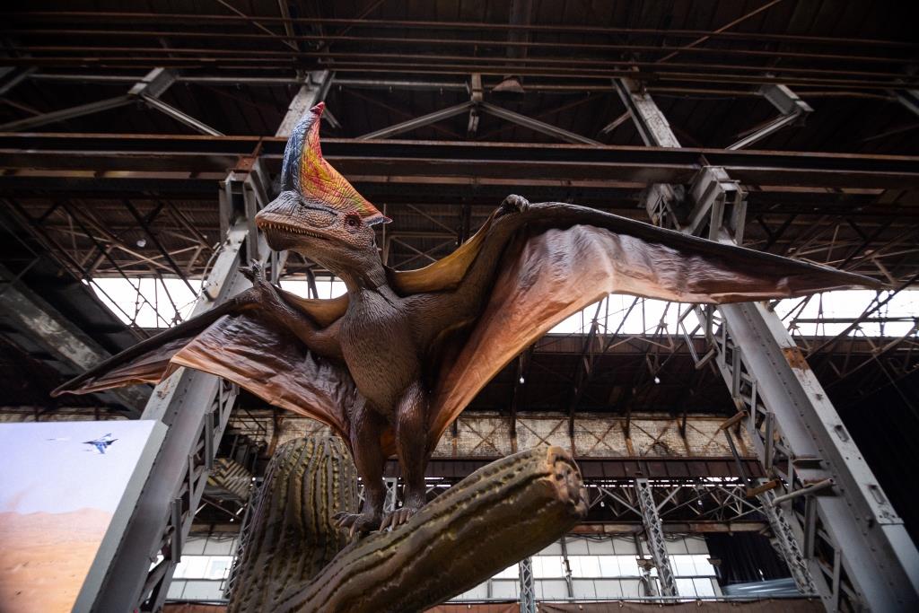 От тираннозавра до трицератопса: гид по выставке динозавров в Харькове фото 8 7