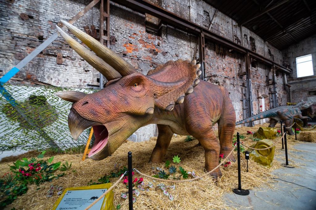 От тираннозавра до трицератопса: гид по выставке динозавров в Харькове фото 5 4