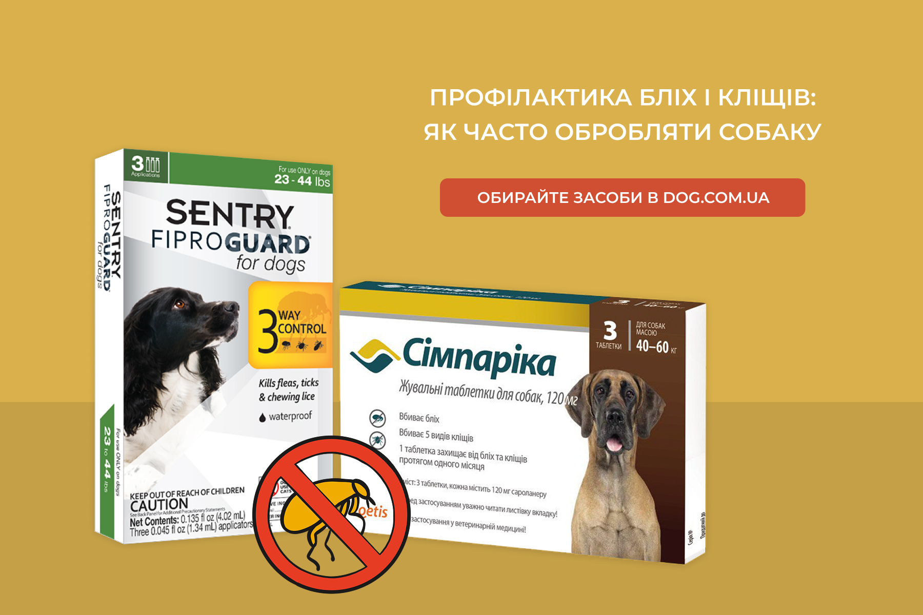 Як часто собакам треба давати засоби від кліщів та бліх? Базовий гід для власників фото 1