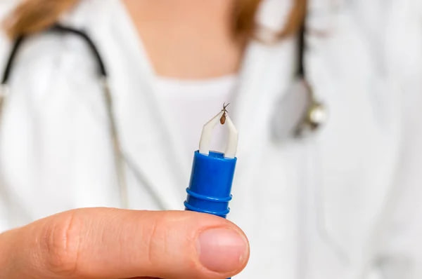 Диагностика болезни Лайма.