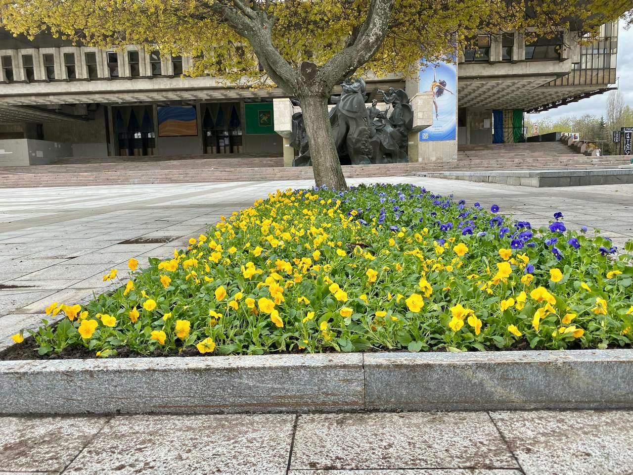 Тюльпаны и желто-голубые виолы: в Харькове начали высаживать цветы.