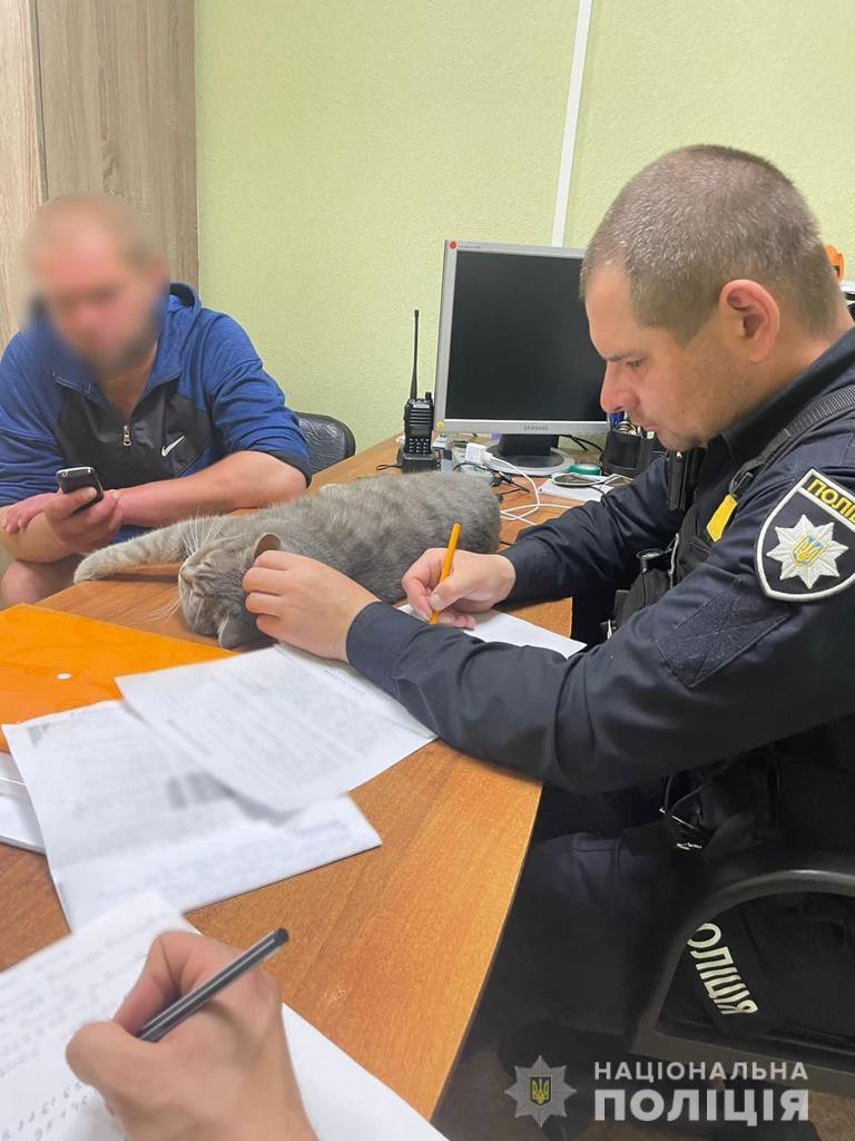 Полицейские приютили кота с Северной Салтовки.