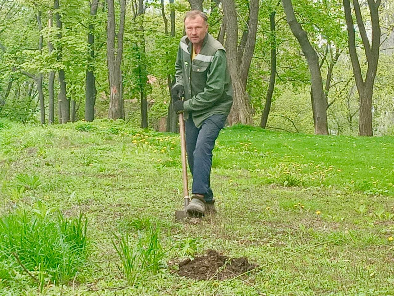 В Харькове появится персиковая аллея.
