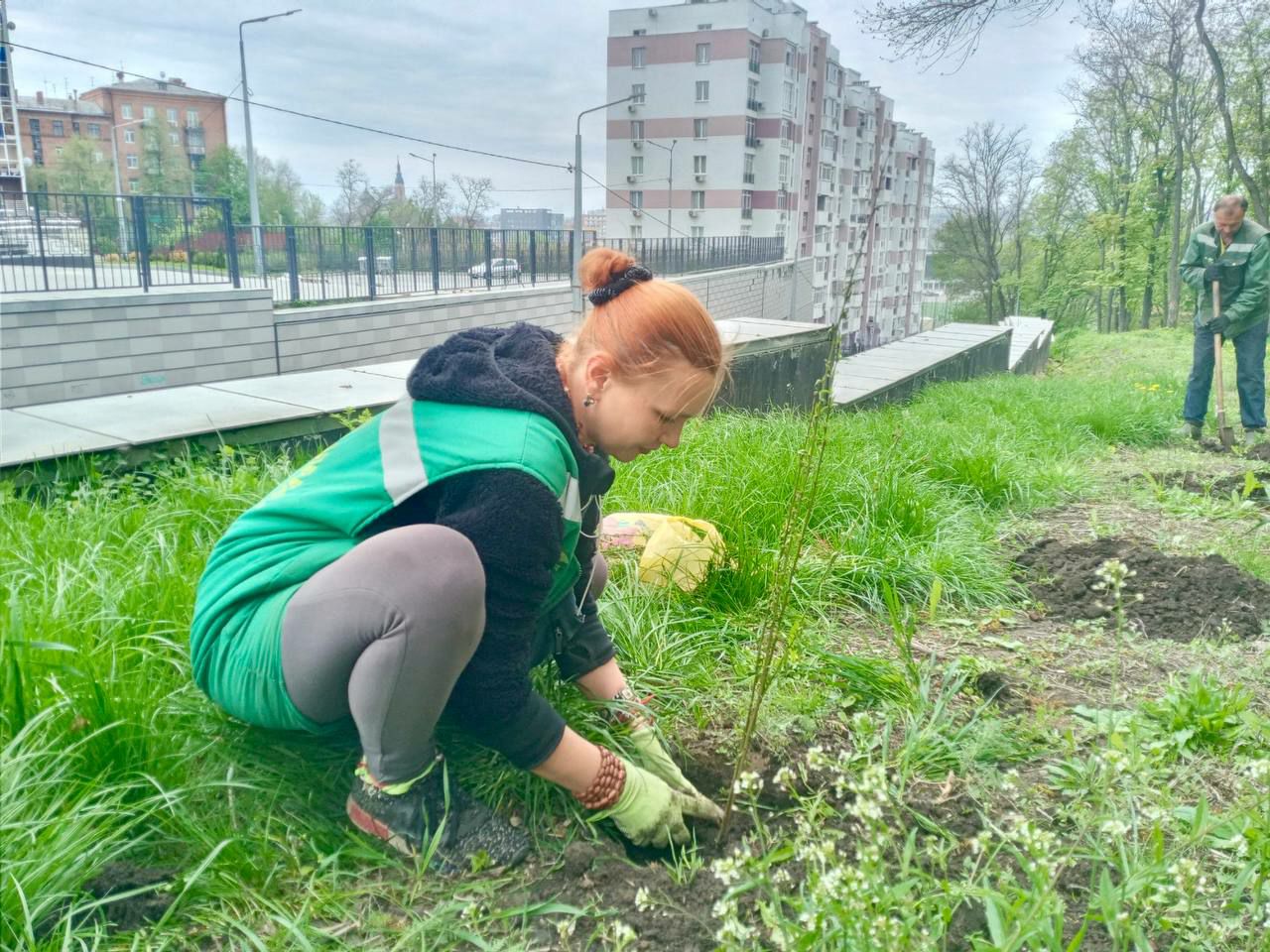 В Харькове появится персиковая аллея.