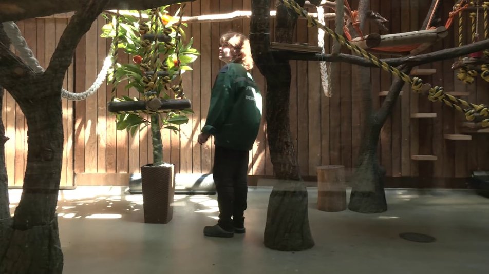 Не вивезли жодної тварини: як живе Харківський зоопарк під час війни.