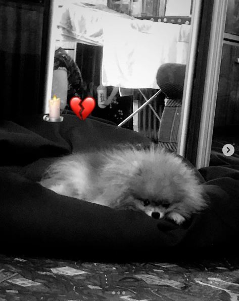 Скриншот: instagram/ksuwka1882