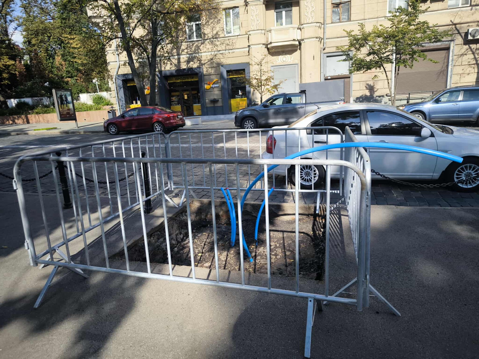 В центре Харькова высадят дубы и клены вместо засохших лип. Фото: ХАЦ