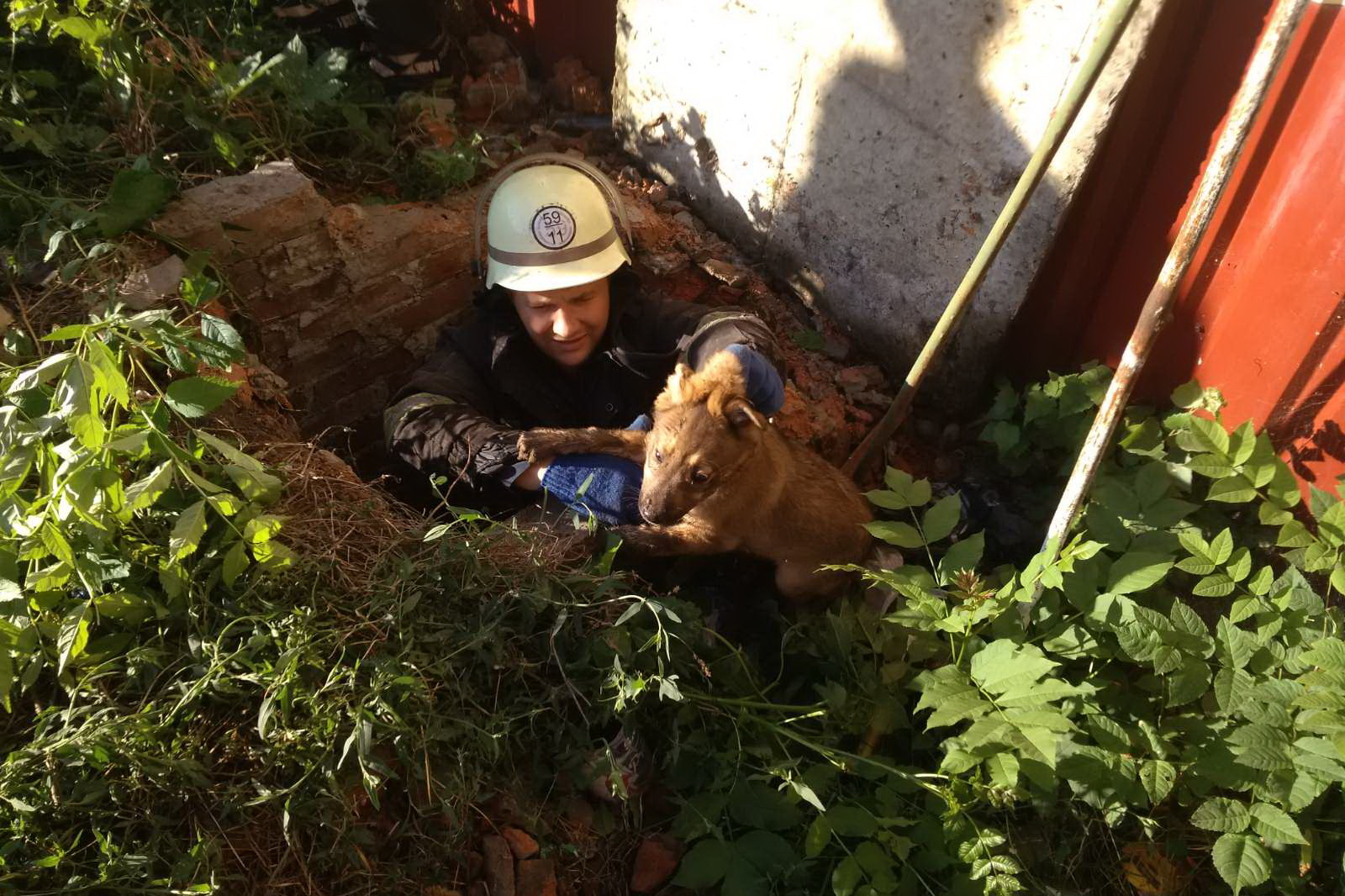 Фото: kh.dsns.gov.ua