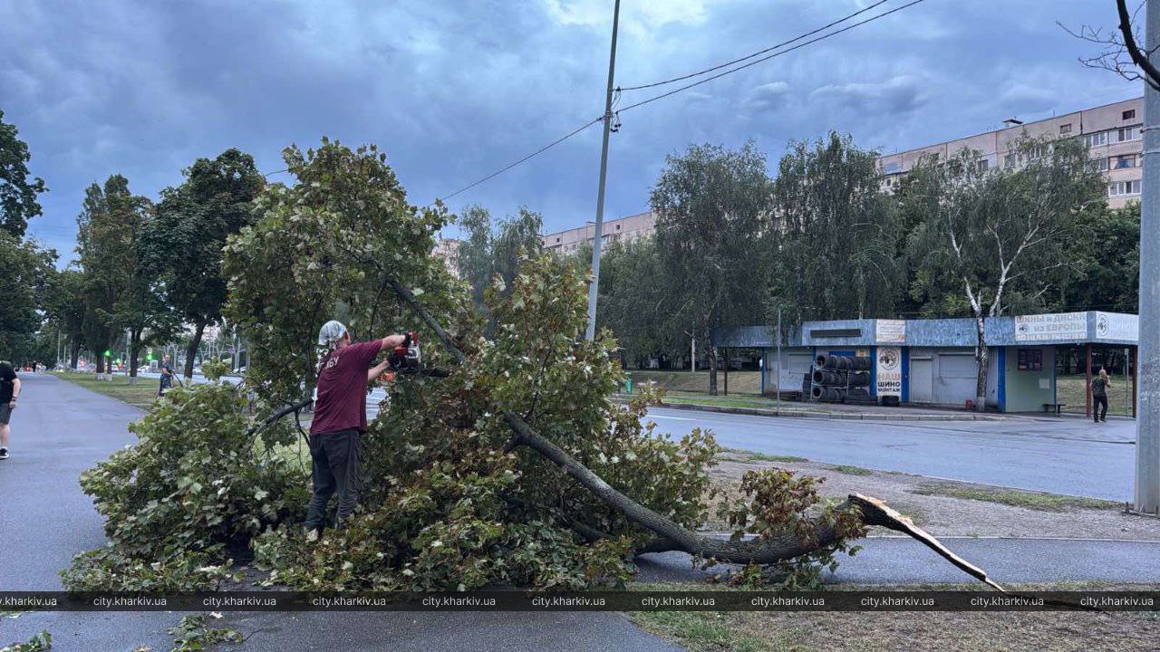 Более 500 крыш и тысяча деревьев: Харьков ликвидирует последствия мощного урагана. Фото: Харьковский горсовет