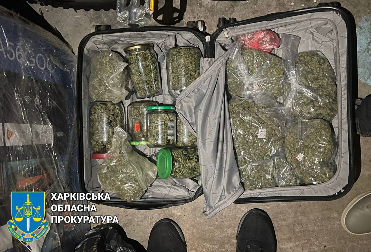 Харьковчанина приговорили к 6 годам за выращивание конопли и хранение боеприпасов. Фото: Харьковская облпрокуратура