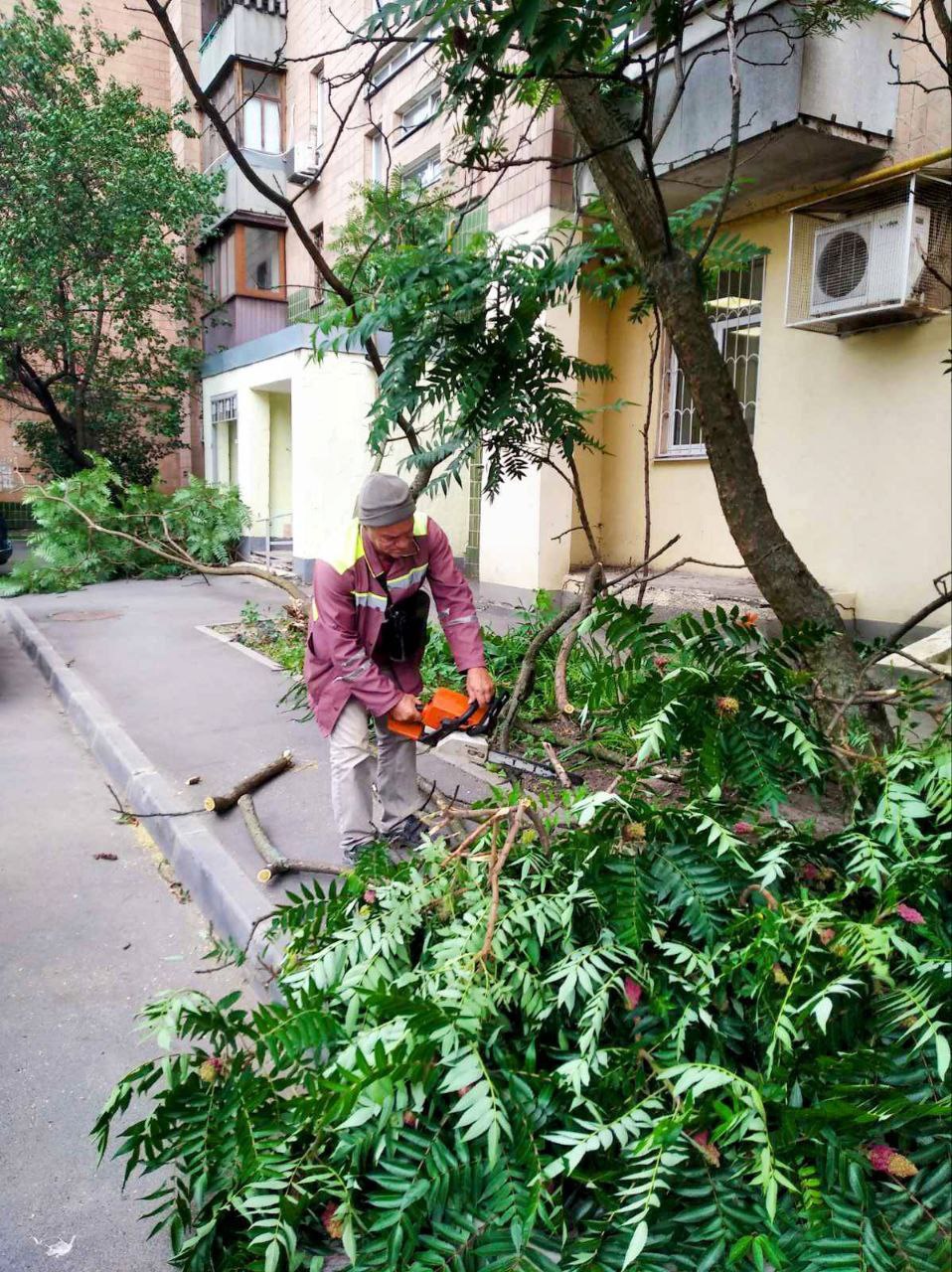 Буревій у Харкові: постраждала жінка, поламано 33 дерева та 77 гілок. Фото: Харківська міськрада
