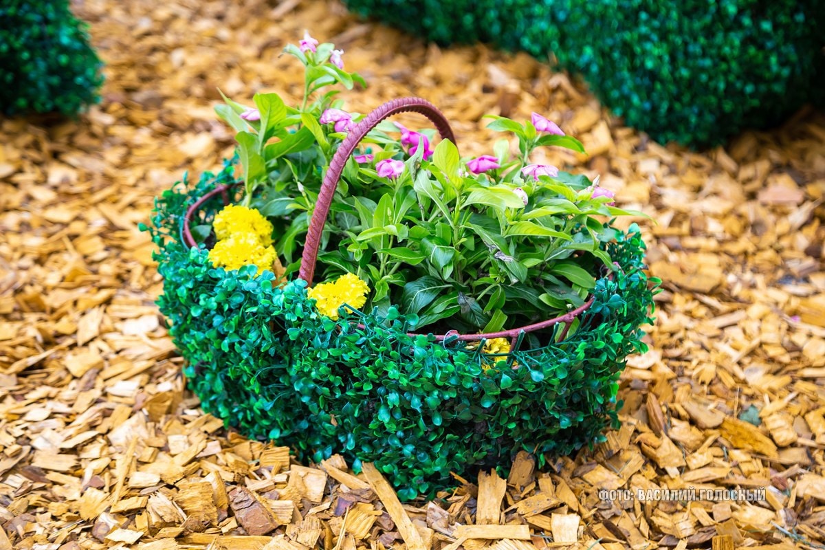 "Зеленая парочка": в Харькове появился новый арт-объект фото 1