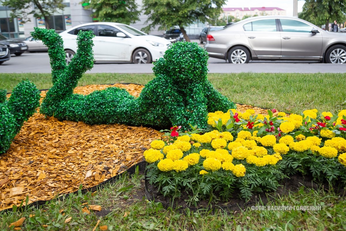 Фото: Василий Голосный