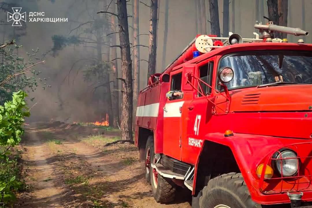 Майже добу ліквідовують масштабну лісову пожежу на Харківщині. Фото: ДСНС