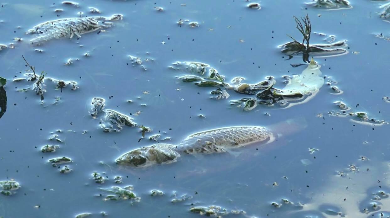 Фото: МГ "Объектив"