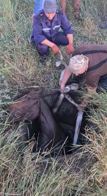 Фото: facebook/MNSKHARKIV