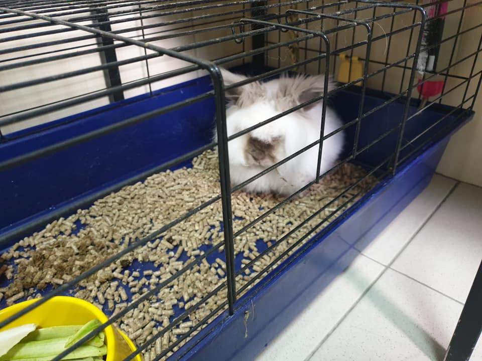 Фото: animals.kharkov.ua