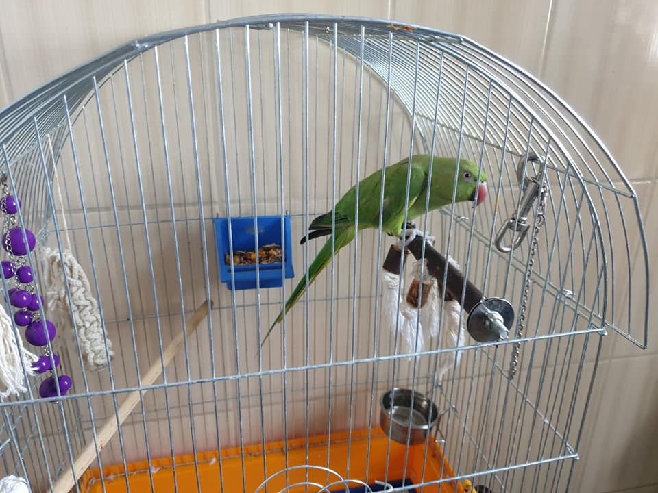 Фото: animals.kharkov.ua