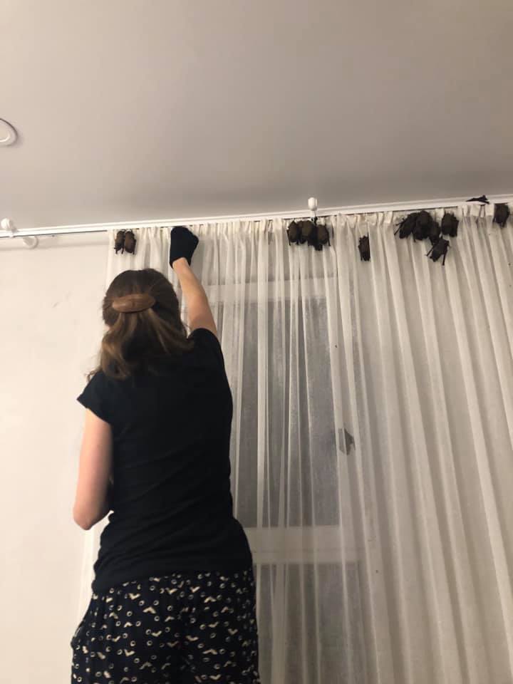 Фото: facebook/KharkivBatGroup