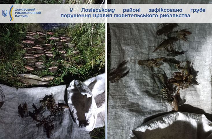 Наловили карасів на 166 тисяч гривень: на Харківщині затримали браконьєрів. Фото: khr.darg.gov.ua