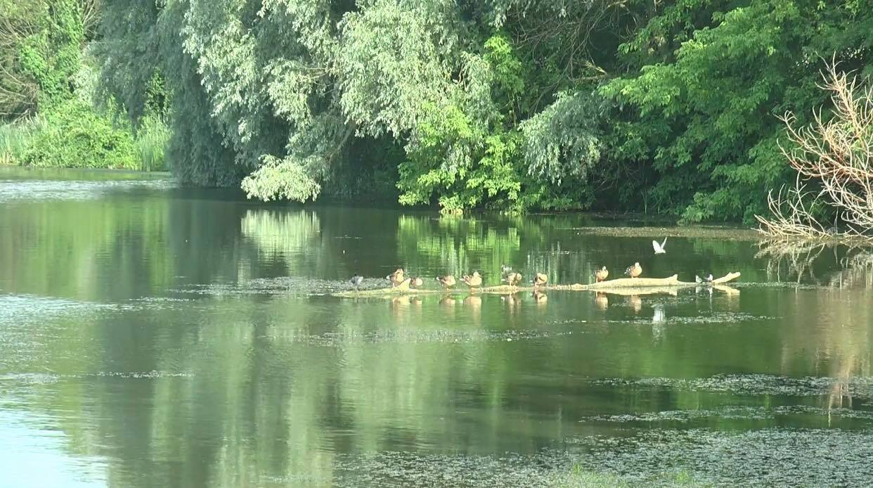 Фото: МГ "Объектив"