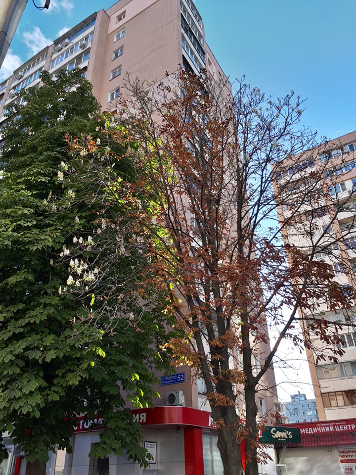 Фото: varta.kharkov.ua