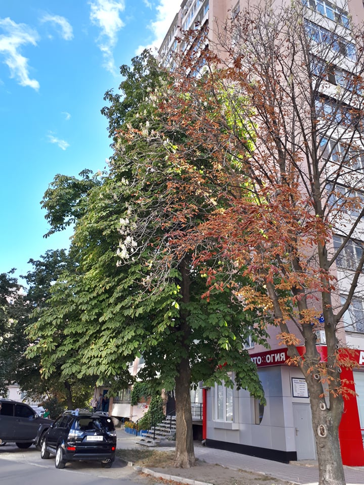 Фото: varta.kharkov.ua