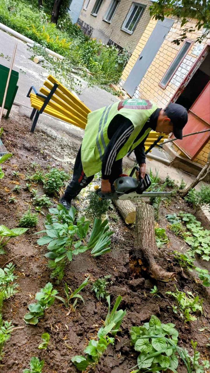 Буревій у Харкові: постраждала жінка, поламано 33 дерева та 77 гілок. Фото: Харківська міськрада