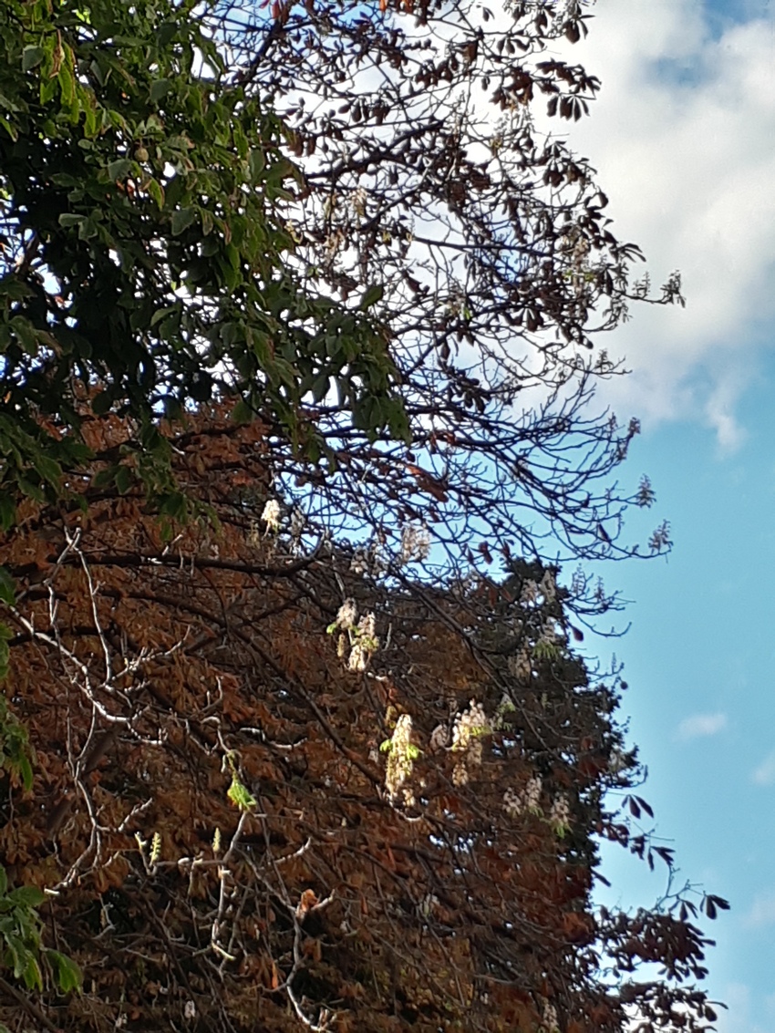 Фото: varta.kharkov.ua