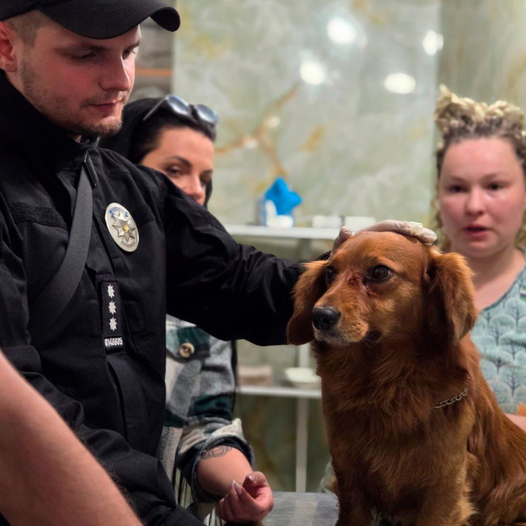 Небайдужі харків'яни відібрали собаку, яку посеред вулиці бив чоловік. Фото: Нацполіція