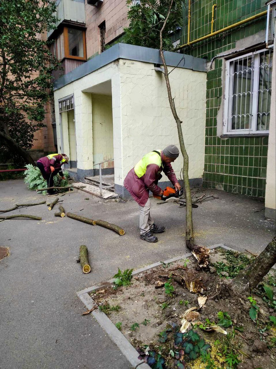 Буревій у Харкові: постраждала жінка, поламано 33 дерева та 77 гілок. Фото: Харківська міськрада