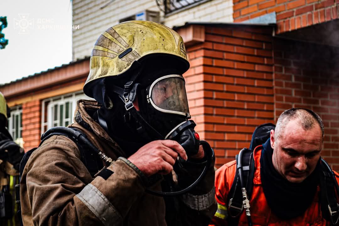 У Харкові ліквідували пожежу в багатоповерхівці та врятували двох котів. Фото: ДСНС