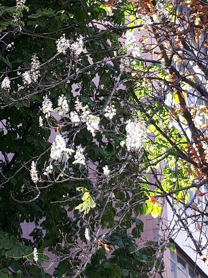 Фото: varta.kharkov.ua