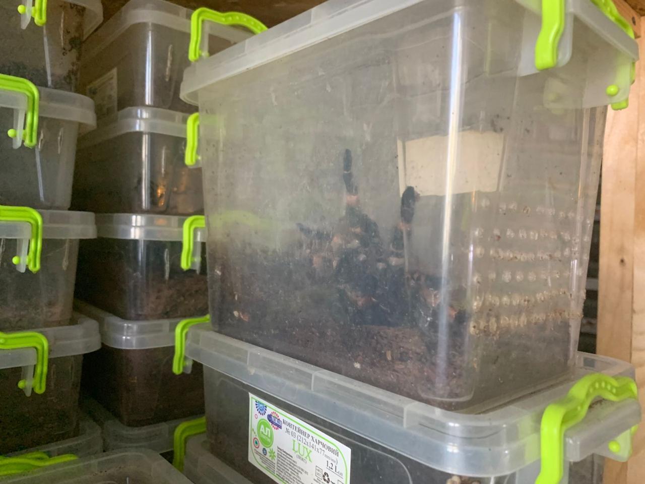 У Харкові з квартири вилучили екзотичних тварин. Фото: Харківська міськрада