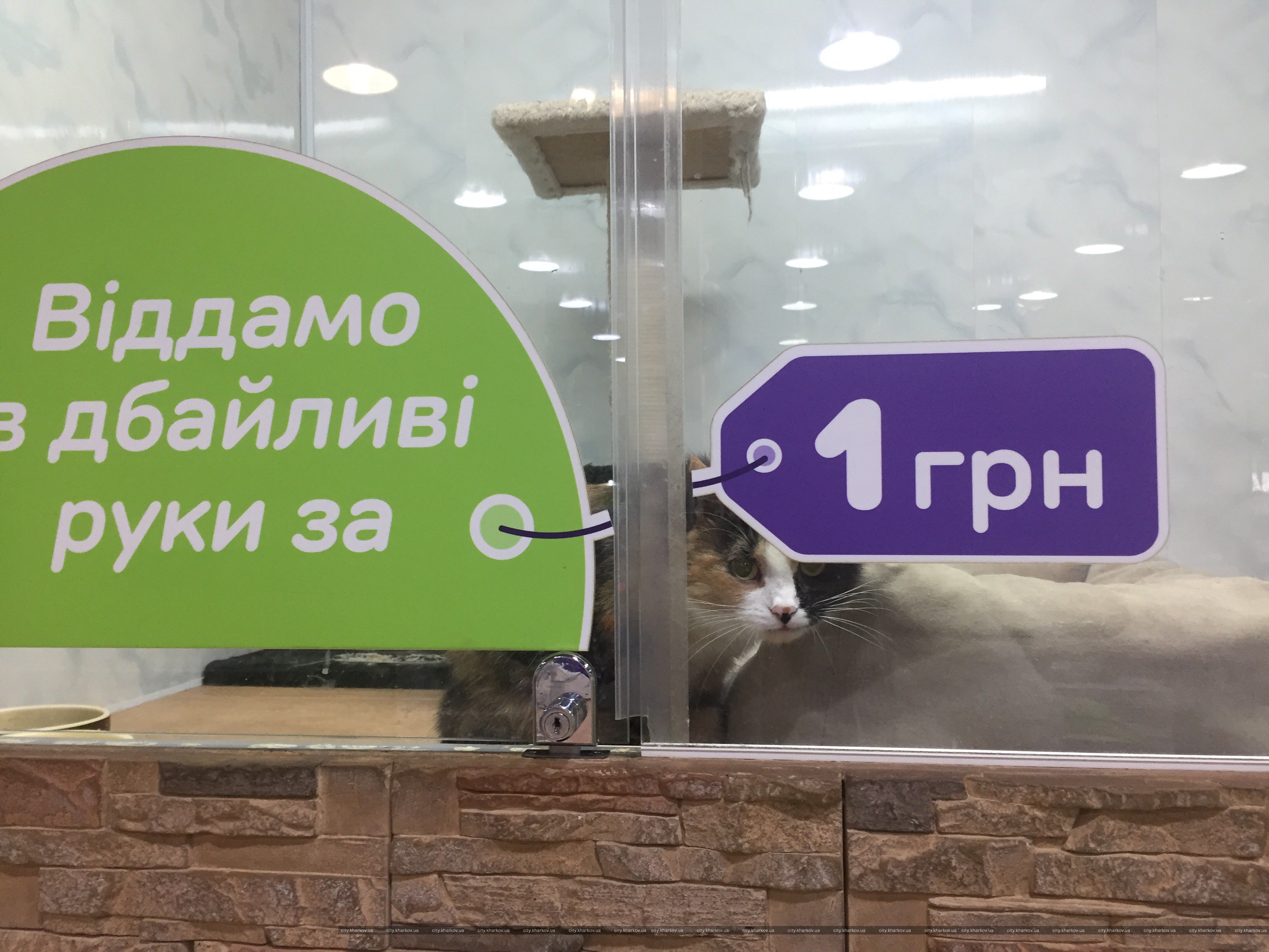 Фото: city.kharkov.ua