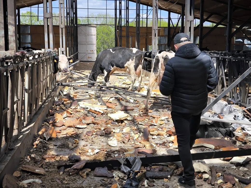 рф уничтожила одно из ведущих производств молока в Харьковской области. Фото: Всеукраинский Аграрный Совет