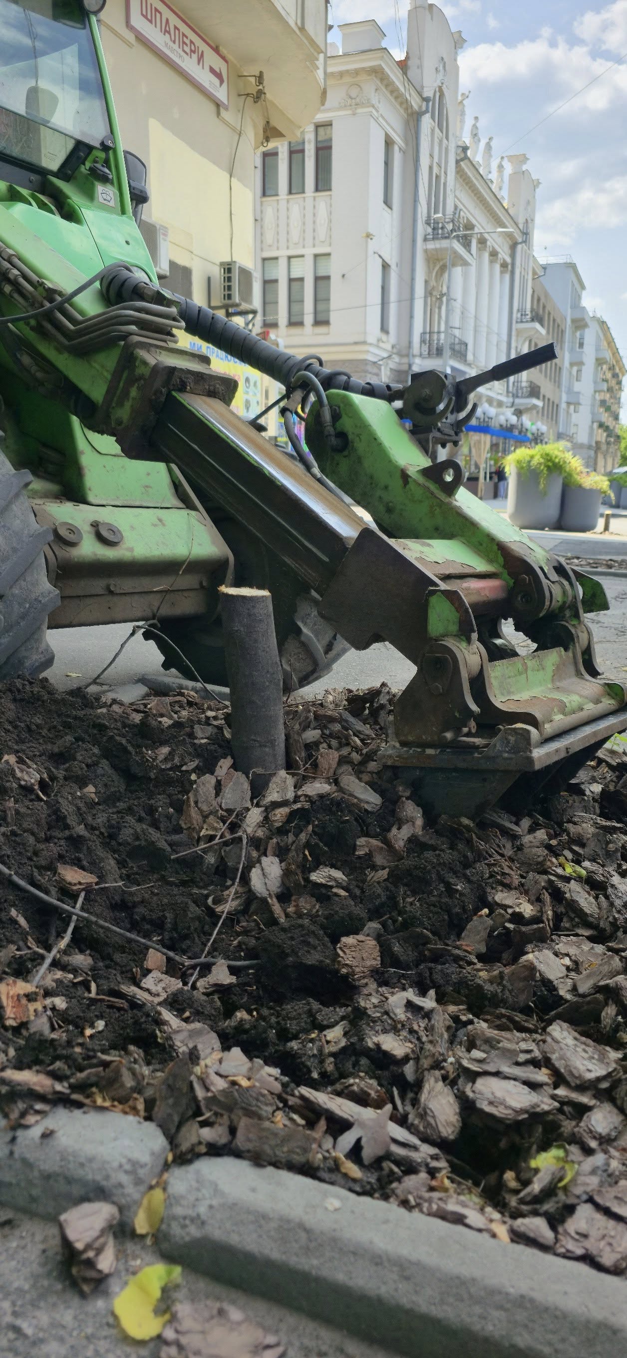 В центре Харькова срезают более 60 деревьев. Фото: facebook/zelenbudkharkiv