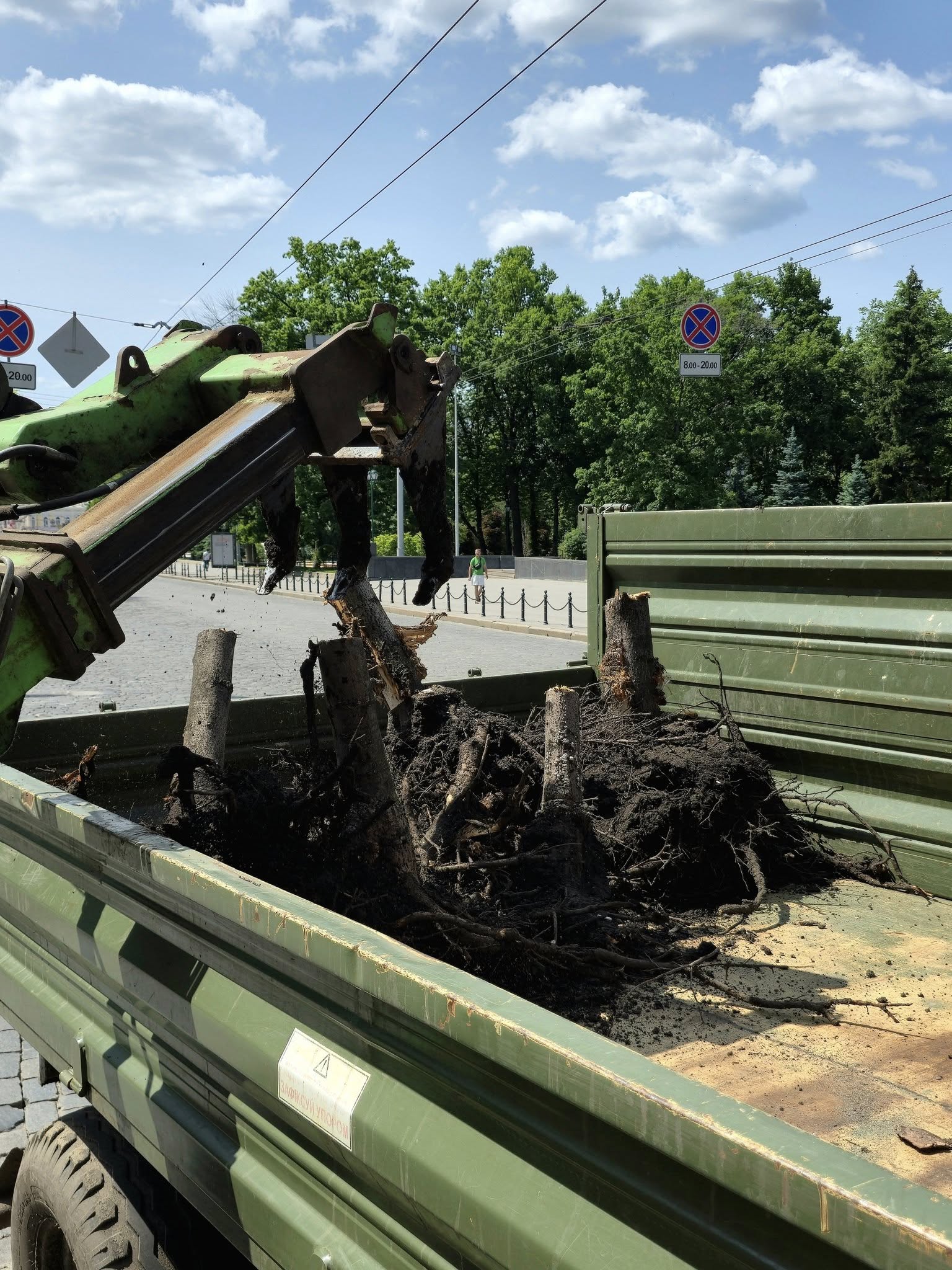 В центре Харькова срезают более 60 деревьев. Фото: facebook/zelenbudkharkiv