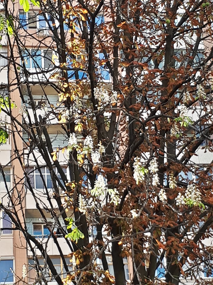 Фото: varta.kharkov.ua