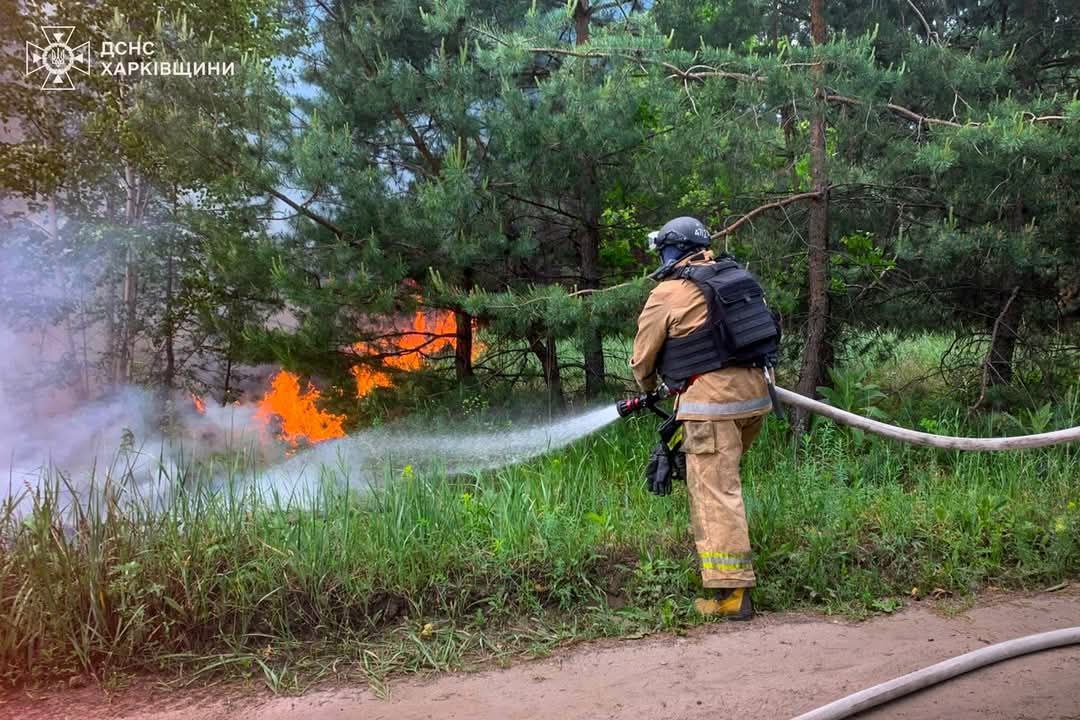 Майже добу ліквідовують масштабну лісову пожежу на Харківщині. Фото: ДСНС