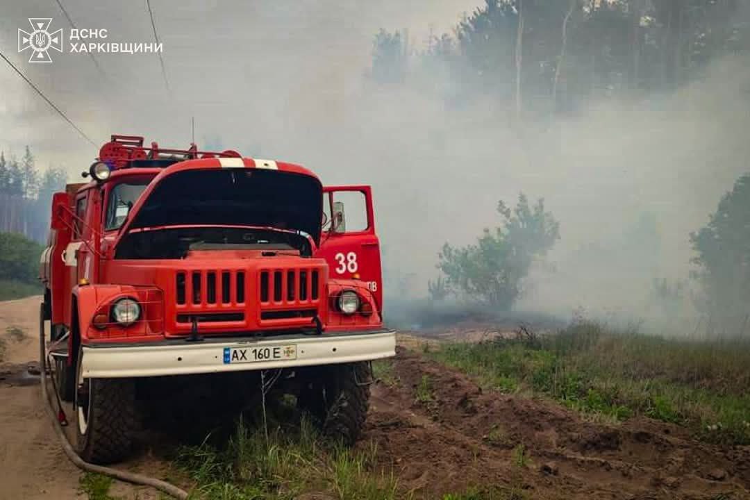 Майже добу ліквідовують масштабну лісову пожежу на Харківщині. Фото: ДСНС