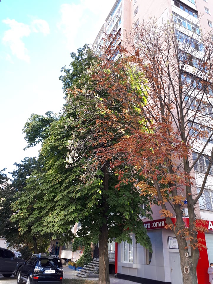 Фото: varta.kharkov.ua