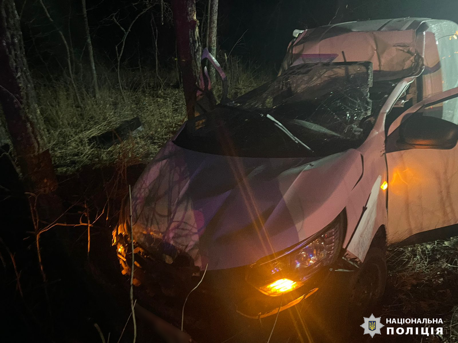"Влетел" в дерево: в Харьковской области произошло смертельное ДТП. Фото: ГУ Нацполиции в Хакровской области
