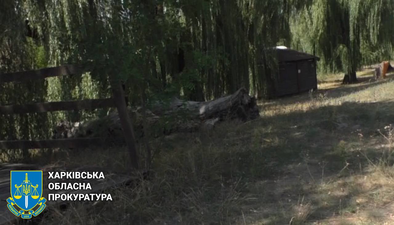 У Харкові викрили жінку, яка незаконно здавала альтанки в Олексіївському лугопарку. Фото: Харківська облпрокуратура