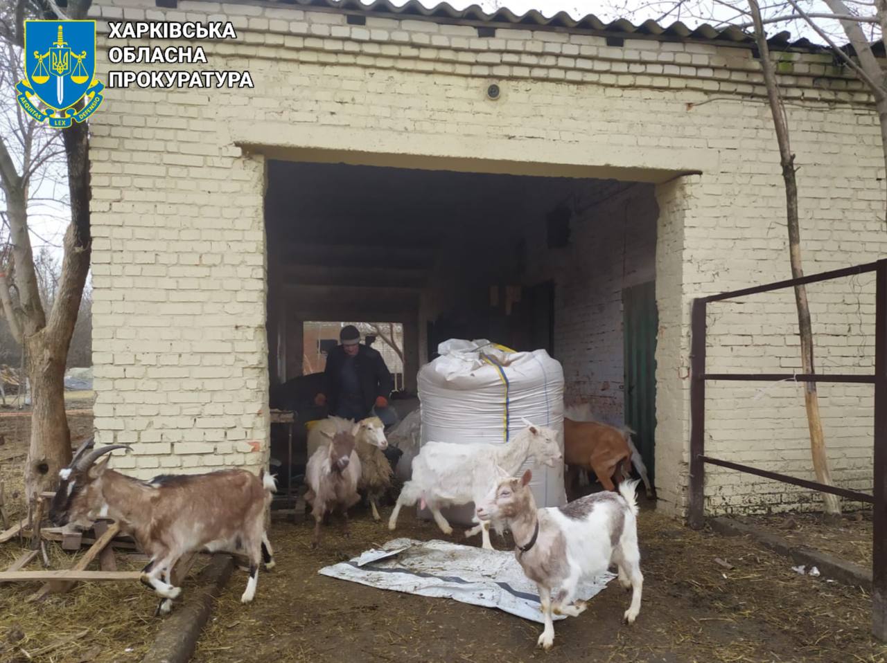 Ударный беспилотник атаковал приют для эвакуированных животных в Харьковской области. Фото: Харьковская облпрокуратура