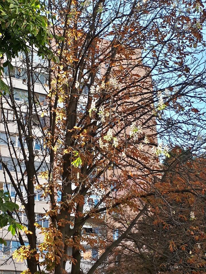 Фото: varta.kharkov.ua