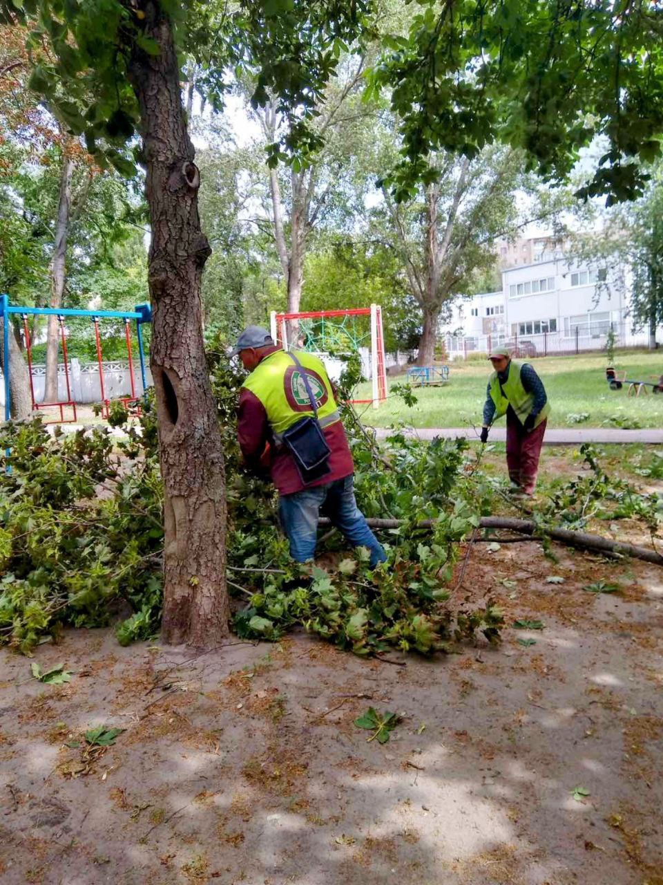 Буревій у Харкові: постраждала жінка, поламано 33 дерева та 77 гілок. Фото: Харківська міськрада