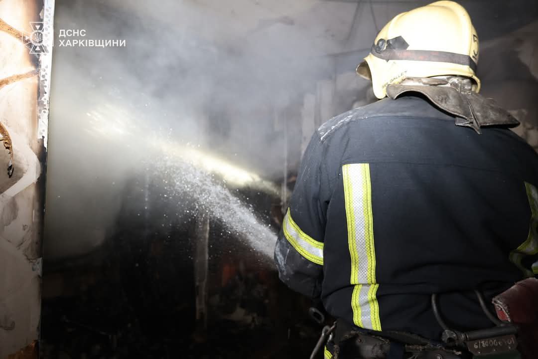 У Харкові ліквідували пожежу в багатоповерхівці та врятували двох котів. Фото: ДСНС