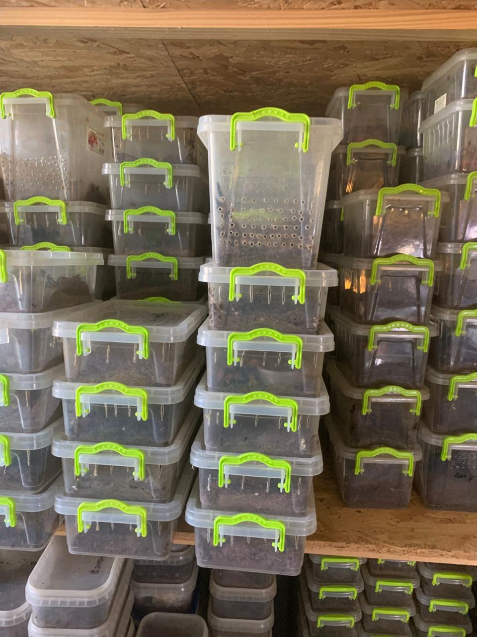 У Харкові з квартири вилучили екзотичних тварин. Фото: Харківська міськрада